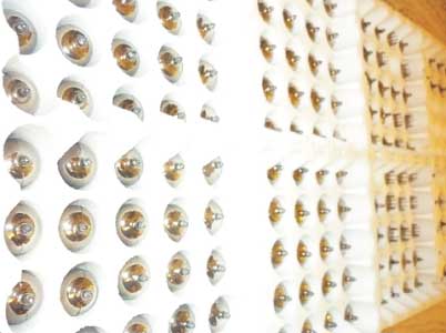 TellyTone Tv405 Valve Pack